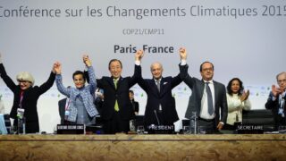 地球温暖化対策「パリ協定」と「森林」が担う役割とは！？