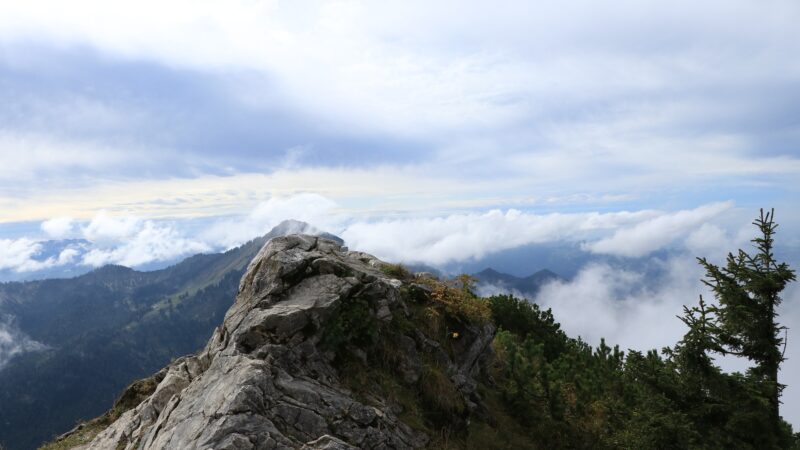 【林業の使命】株式会社あしだ – 森を育み、守り継いでいく