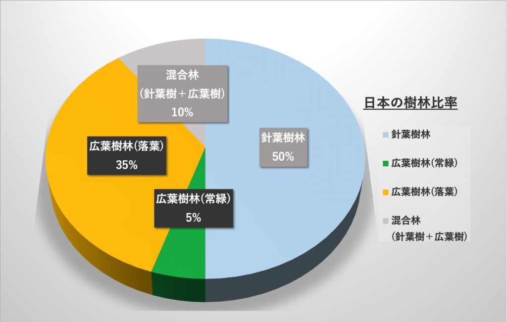 まとめ 押さえておきたい樹木の名前と種類の覚え方を紹介 広葉樹編 Woodyニュース