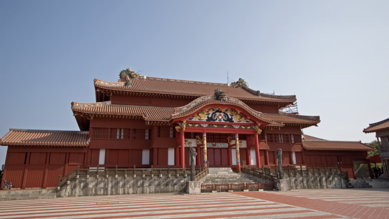 首里城再建に用いる大径材ヒノキの枯渇問題とは！？東大寺再建の歴史を例に紹介！