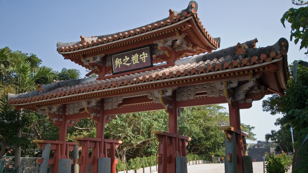 首里城に用いられた台湾ヒノキの特徴と歴史を紹介！国産ヒノキとの違いとは！？