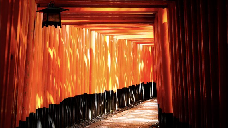 なぜ漆(ウルシ)が用いられるのか！？漆の性質と魅力を解説！