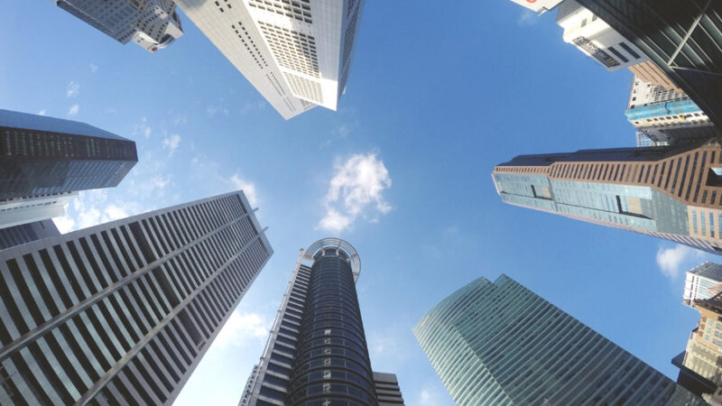 ヒートアイランド現象と熱帯夜の定義を解説！街路樹は本当に気温を下げる！？