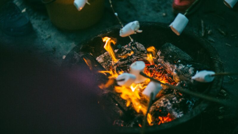 キャンプに適した良い”薪(まき)”の選び方。種類によって燃え方が違う！？