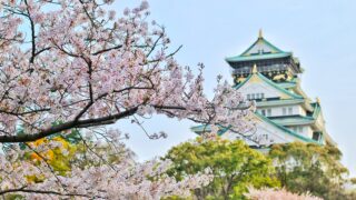 外国人が選ぶ”日本の桜名所”３選！桜の花見に対する海外の印象とは！？