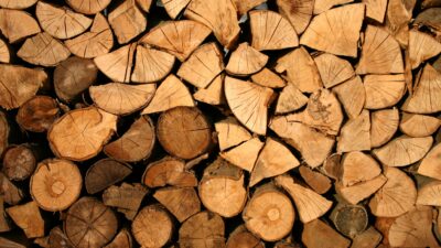 ドングリの木・コナラの紅葉と魅力を紹介！薪や炭の材として生活に欠かせなかった雑木林を代表する木