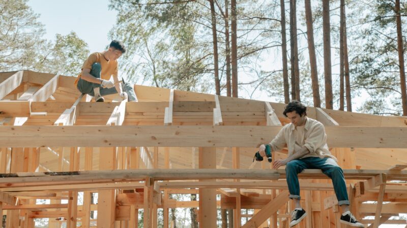 なぜヒノキ(桧)はスギと比べて高価なのか？建築材としての歴史と特徴について紹介！