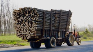 なぜ”カラマツ材”の需要が高まっているのか！？木材の特徴と歴史を紹介！