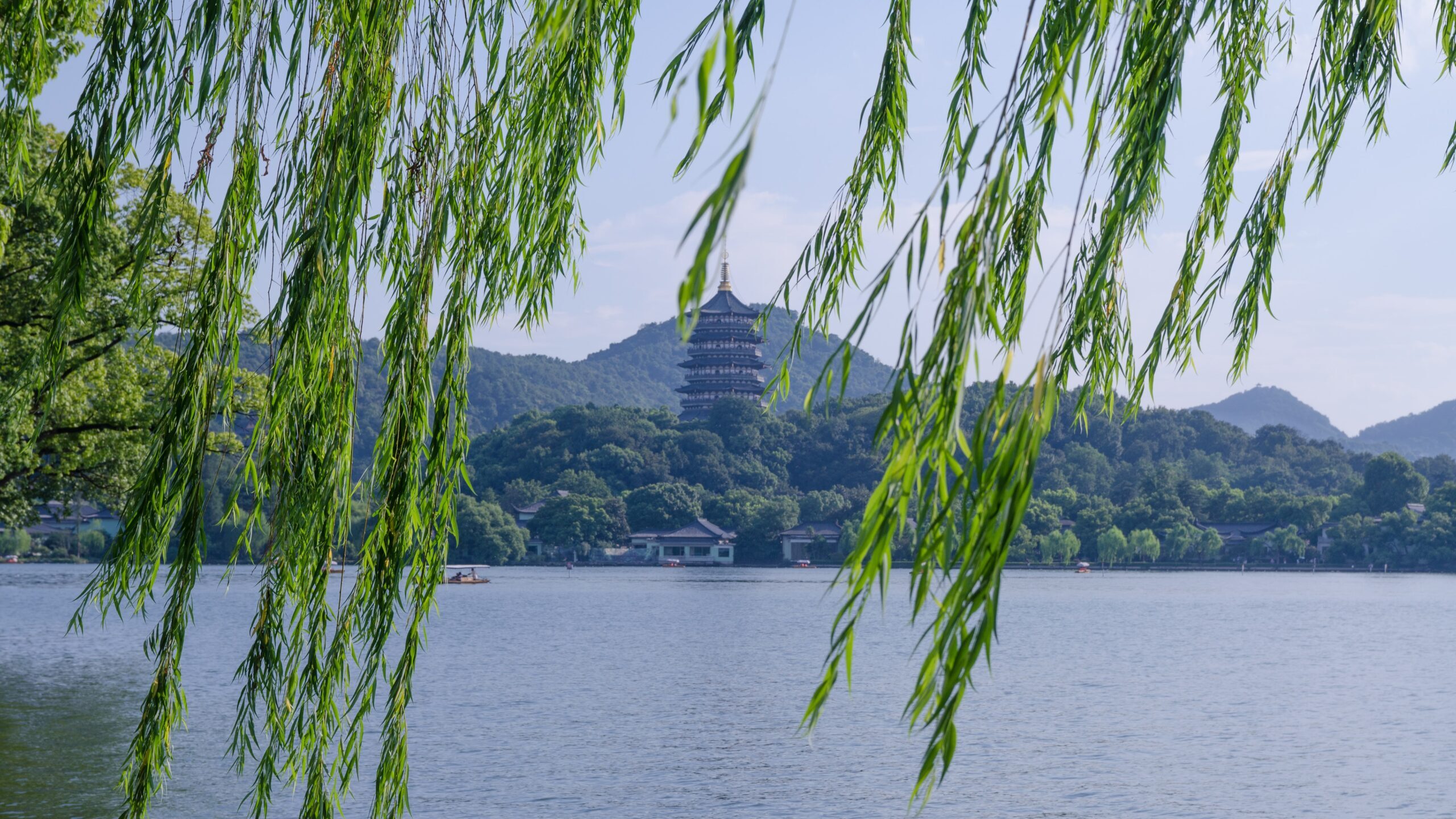 まとめ] 日本の四季を告げる”ヤナギ(柳)”の特徴と種類を一挙紹介