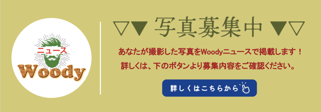 紅葉の代名詞「もみじ」の特徴と魅力を紹介！ | Woodyニュース
